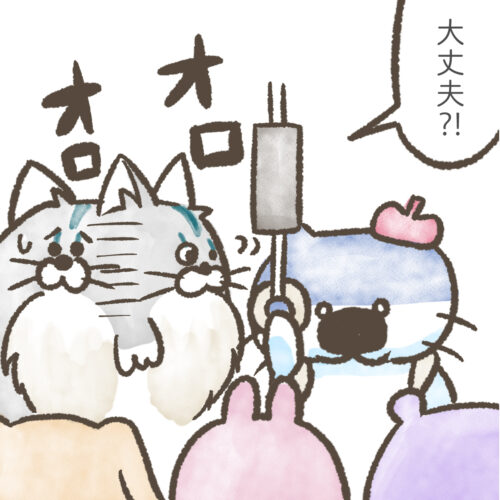 オロオロする猫