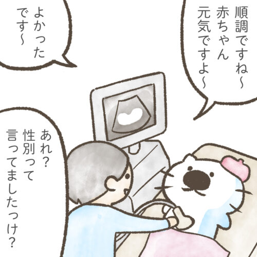 エコーで胎児をチェックする医師と妊婦